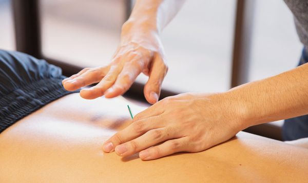 健康管理運動指南，健康管理運動指南內(nèi)容