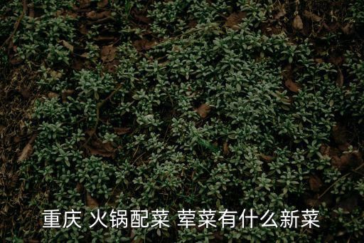 重慶 火鍋配菜 葷菜有什么新菜