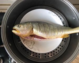 清蒸黃花魚(yú)的做法 步驟2