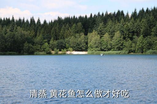  清蒸 黃花魚(yú)怎么做才好吃