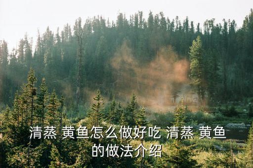  清蒸 黃魚(yú)怎么做好吃 清蒸 黃魚(yú)的做法介紹