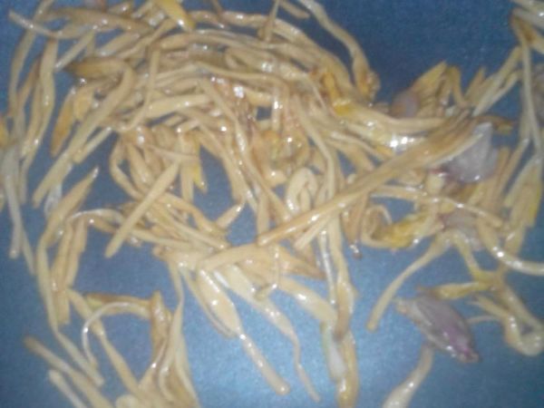 純奶手撕吐司的做法 步驟1