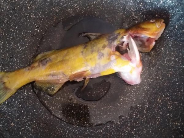 純奶手撕吐司的做法 步驟1