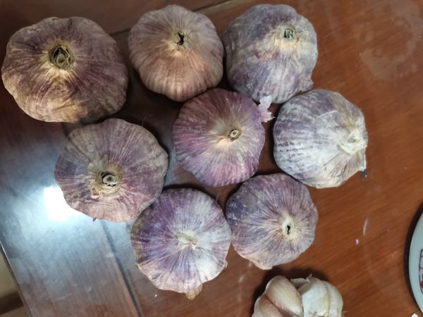 蒜蓉西蘭花翻炒過程