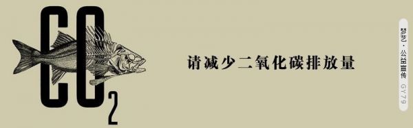 黃花木耳豬蹄湯的做法詳細介紹
