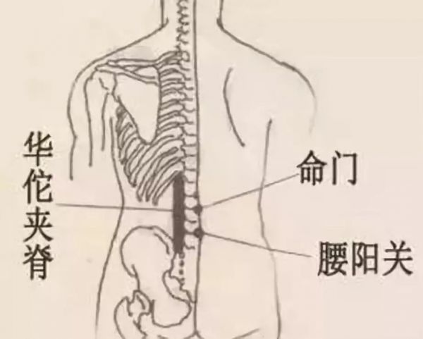 拔罐減肥 拔火罐減肥有效嗎_拔罐減肥_中藥拔罐減肥加盟店