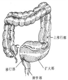 点击查看高清原图