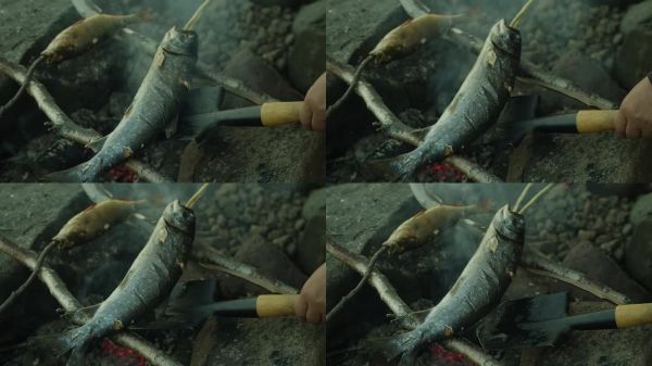 在火上煮鱼