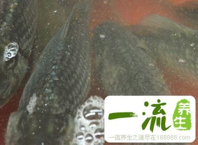 水煮鱼的做法 爱吃鱼的你会做鱼吗