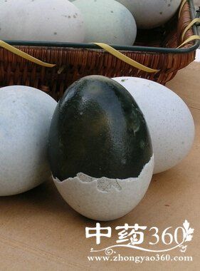 怎么减肥,8款汤类春季减肥食谱