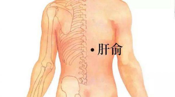 肝俞