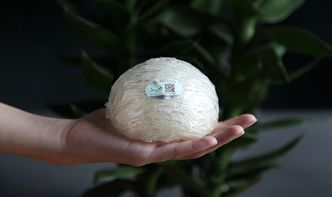 探究燕窝果潜在副作用及其健康影响