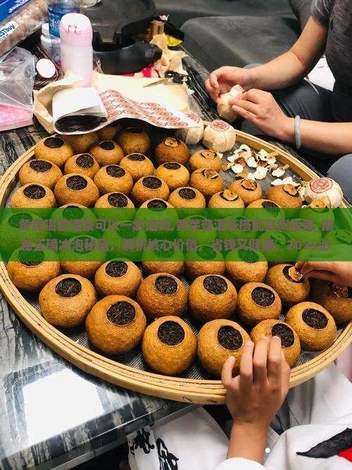 黄芪喝普洱茶可以一起泡吗
