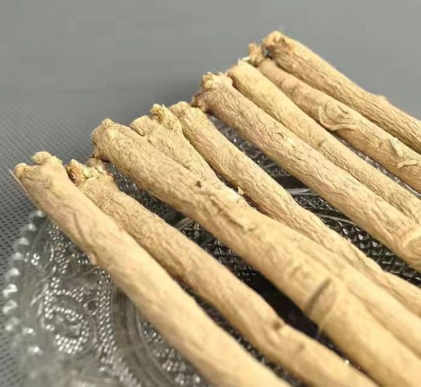 黄芪与蒲公英泡水