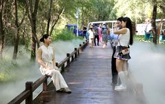 夏日洮儿河国家湿地公园