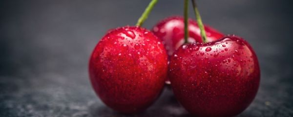 低糖降糖水果种类有多少