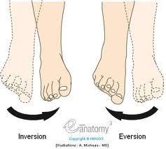 inversion & eversion