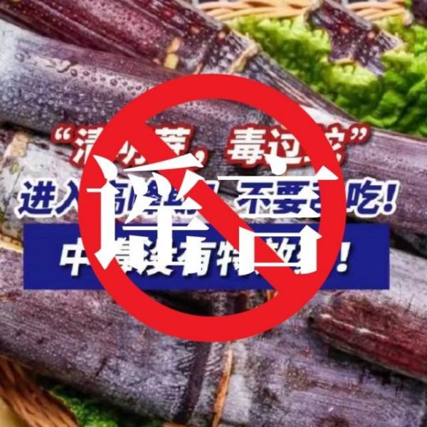 网警提醒：这些清明谣言别再信！