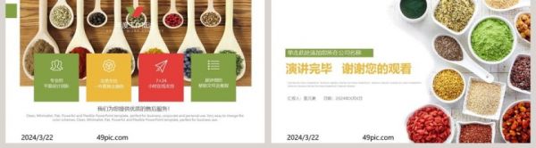 健康食品調(diào)料大全PPT模板第5張