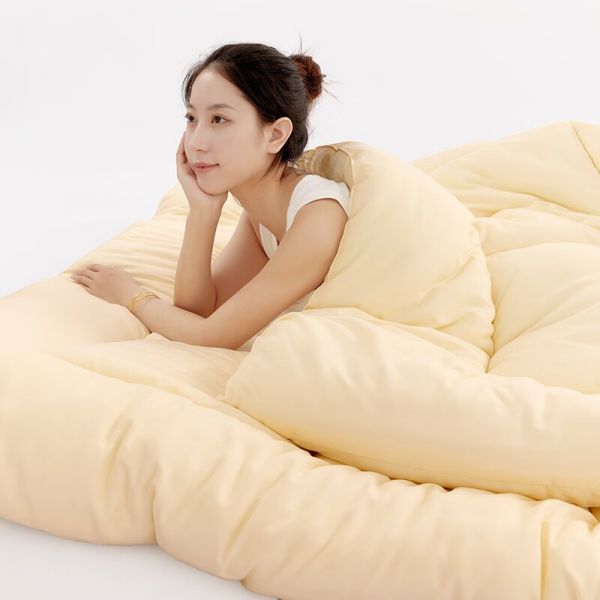 薄款春夏被子限時(shí)搶購價(jià)45.4元！
