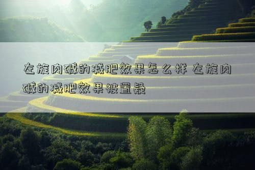 左旋肉碱的减肥效果怎么样 左旋肉碱的减肥效果被置疑