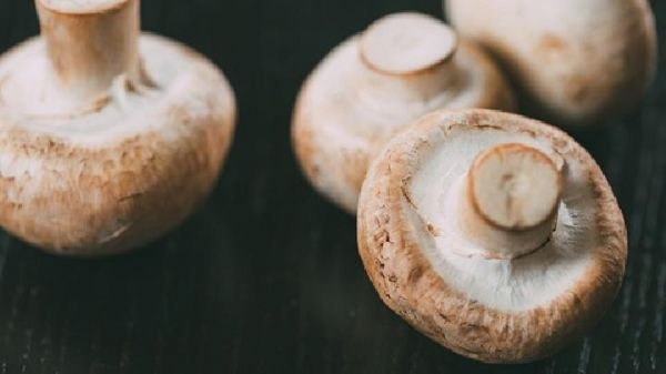 春季養(yǎng)生食譜推薦 這5款瘦身食譜減肥要多吃