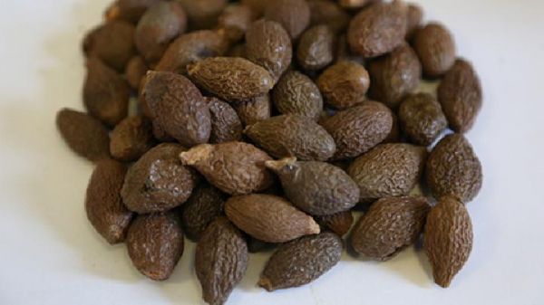 什么減肥效果好 春季減肥4款食譜健康又瘦身