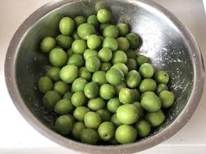 超好喝青梅糖漿/青梅干/青梅酵素/糖漬青梅/梅子露的做法 步驟1