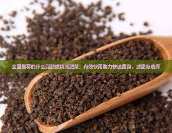 全国推荐的什么脂肪燃烧减肥茶，有效饮用助力快速瘦身，减肥新选择