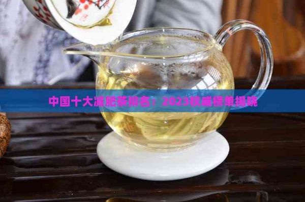 中国十大减肥茶排名：2023权威榜单揭晓