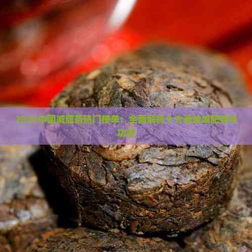 2023中国减肥茶热门榜单：全面解析十大高效减肥茶与功效