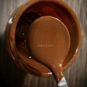 高配版Nutella榛子巧克力醬的做法 步驟6