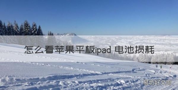 怎么看苹果平板ipad 电池损耗