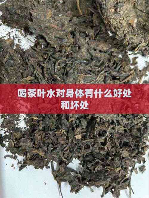 喝茶葉水對身體有什么好處和壞處