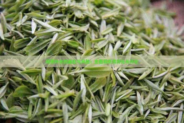 喝茶葉水的益處與風險：全面解析其好處與壞處
