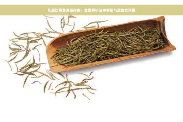 兒童飲用普洱茶指南：全面解析注意事項與適宜飲用量