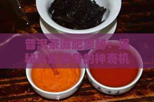 普洱茶減肥奧秘：揭秘其助瘦身的神奇機制