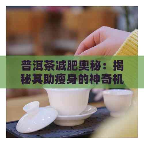 普洱茶減肥奧秘：揭秘其助瘦身的神奇機制