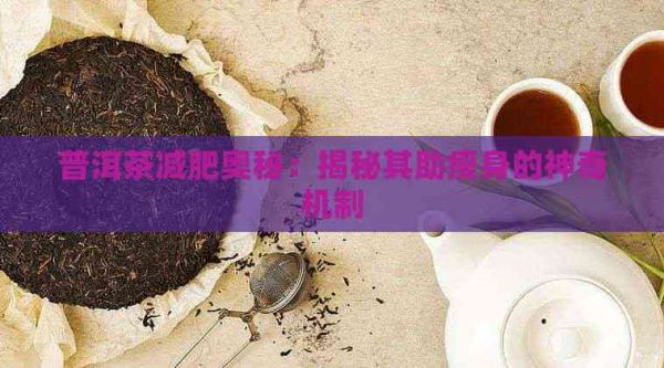 普洱茶減肥奧秘：揭秘其助瘦身的神奇機制