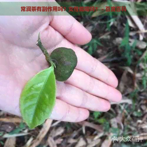 常潤茶有副作用嗎？女性能喝嗎？ - 百度百科
