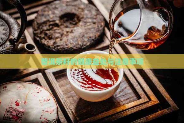 普洱茶籽的健康益處與注意事項(xiàng)