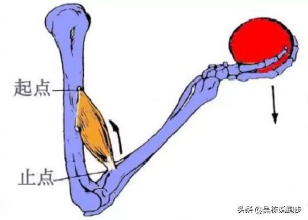 靜態(tài)拉伸多久為宜？