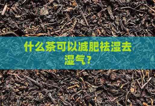 什么茶可以減肥祛濕去濕氣？