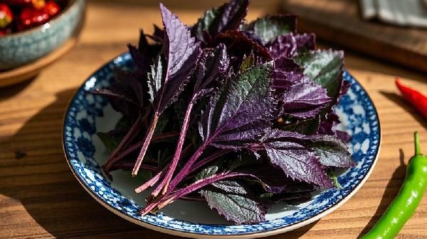 紫苏十大最佳搭配