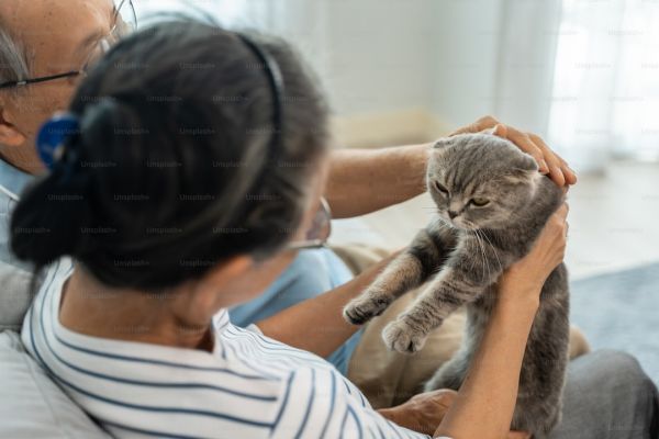 2024年健康险保费2万亿