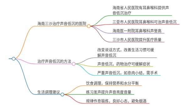 2025年海南三沙治疗声音低沉的医院有哪些