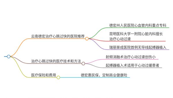 2025年云南德宏治疗心跳过快的医院有哪些