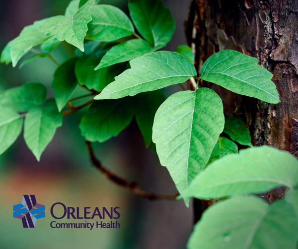 Being aware of poison ivy and poison oak is an important way to avoid medical issues.