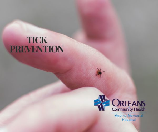 Tick prevention