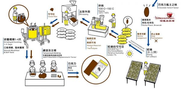 巧克力的历史演变、生产工艺及其健康影响研究 第1张
